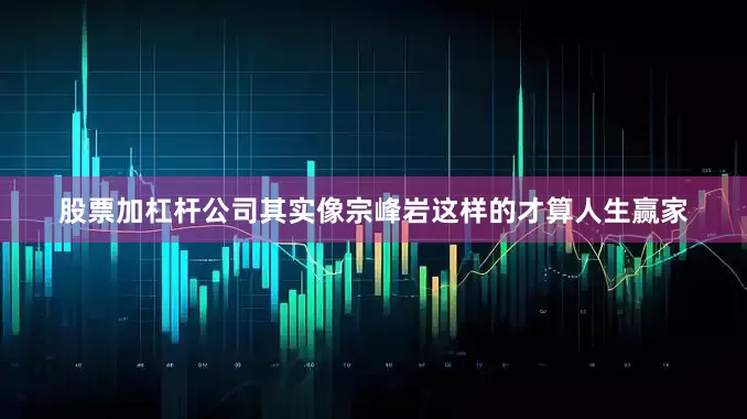 股票加杠杆公司其实像宗峰岩这样的才算人生赢家