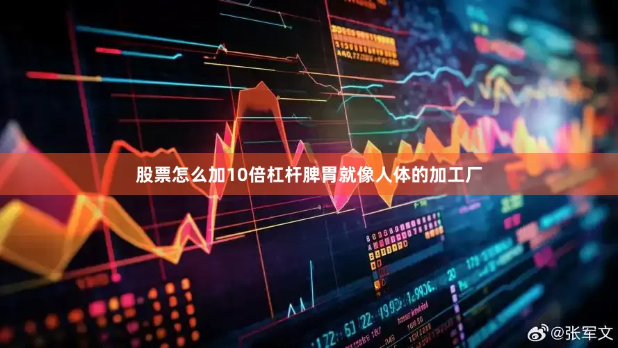 股票怎么加10倍杠杆脾胃就像人体的加工厂