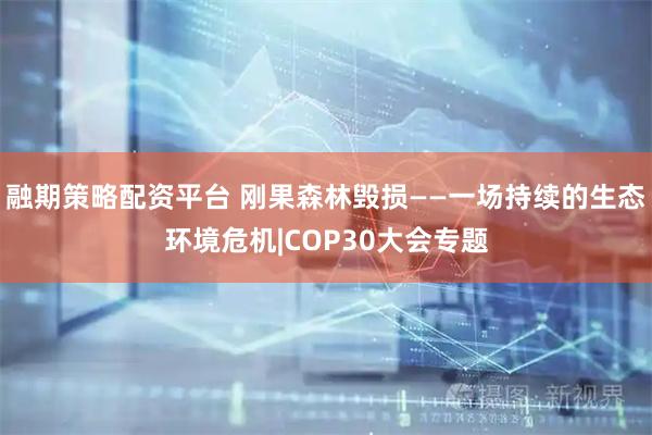融期策略配资平台 刚果森林毁损——一场持续的生态环境危机|COP30大会专题